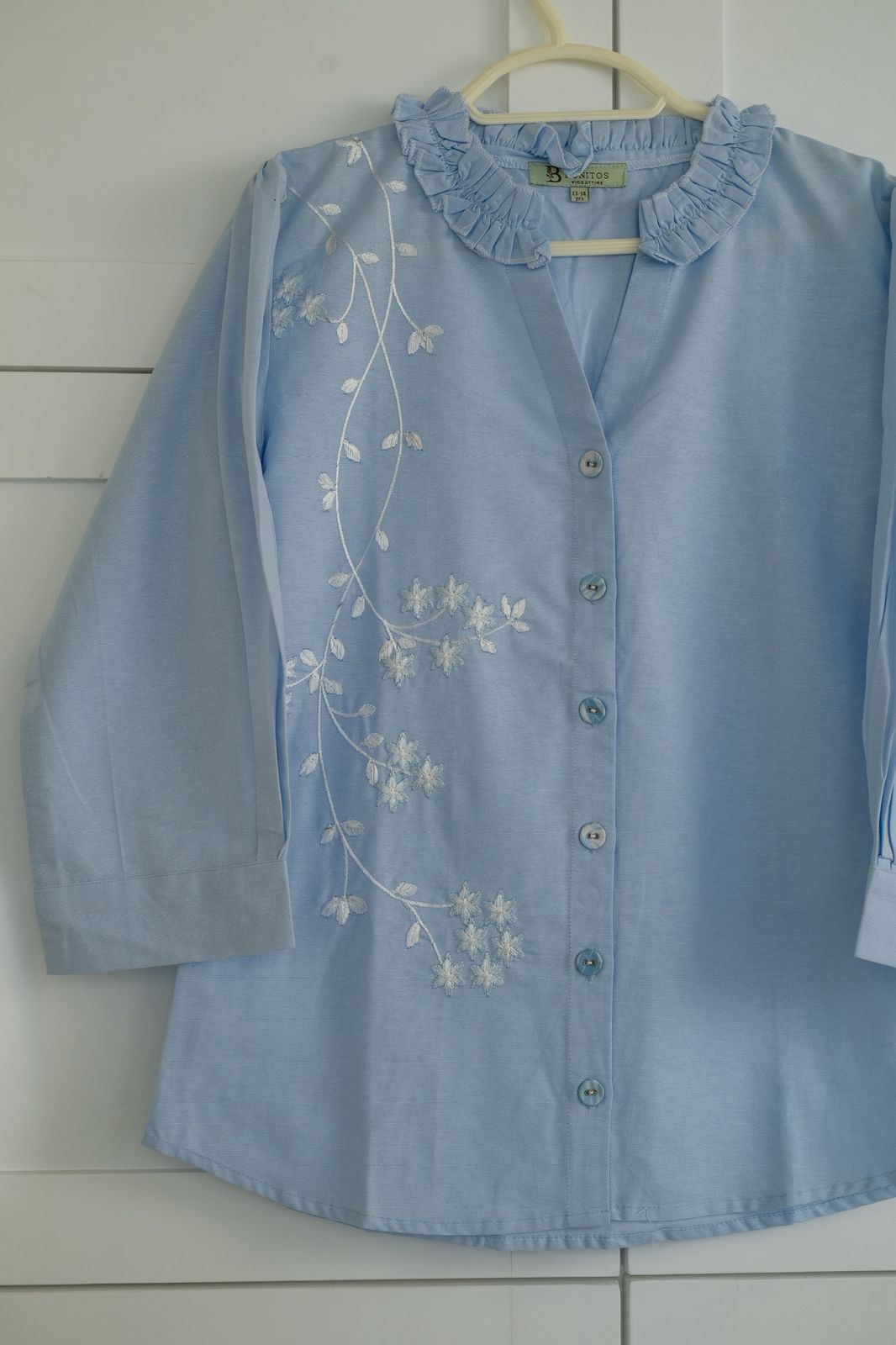 Blue Embroidered Shirt