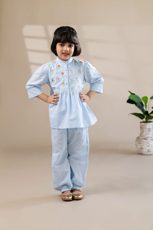 Pastel Blue Embroidered Co-ord Set